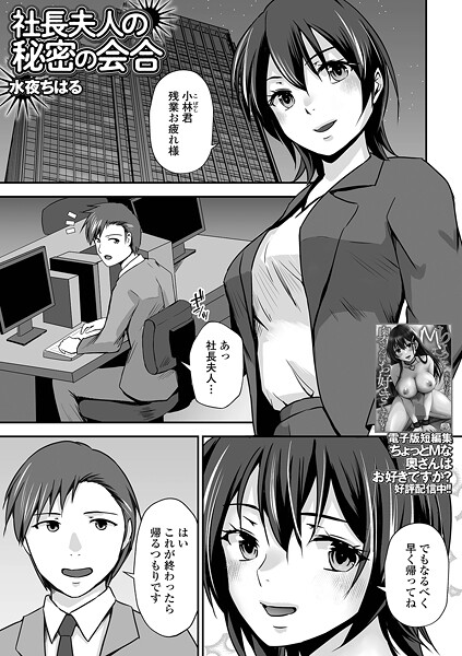 社長夫人の秘密の会合|水夜ちはる|b164aisis05368 社長夫人の秘密の会合|水夜ちはる|b164aisis05368