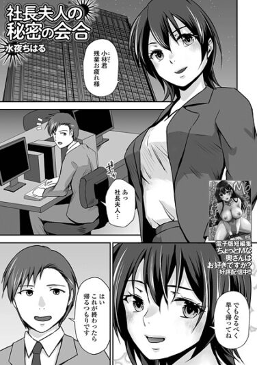 社長夫人の秘密の会合｜水夜ちはる｜b164aisis05368|無料エロ漫画シコい大全