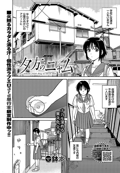 夕方のニャム|鉢本|b472abnen03301 夕方のニャム|鉢本|b472abnen03301