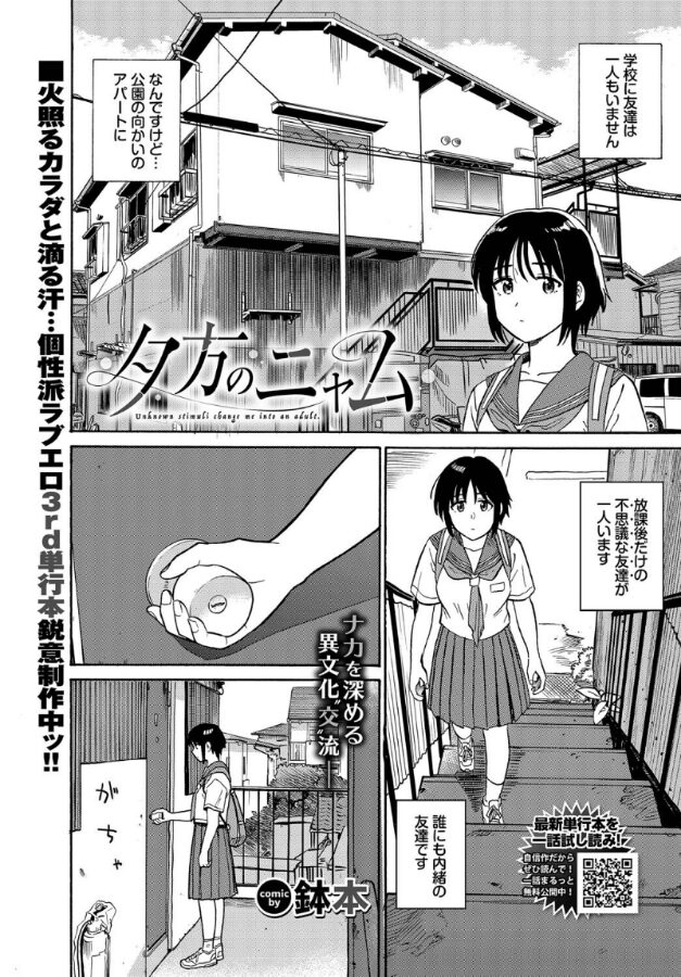 夕方のニャム|鉢本|b472abnen03301 夕方のニャム|鉢本|b472abnen03301
