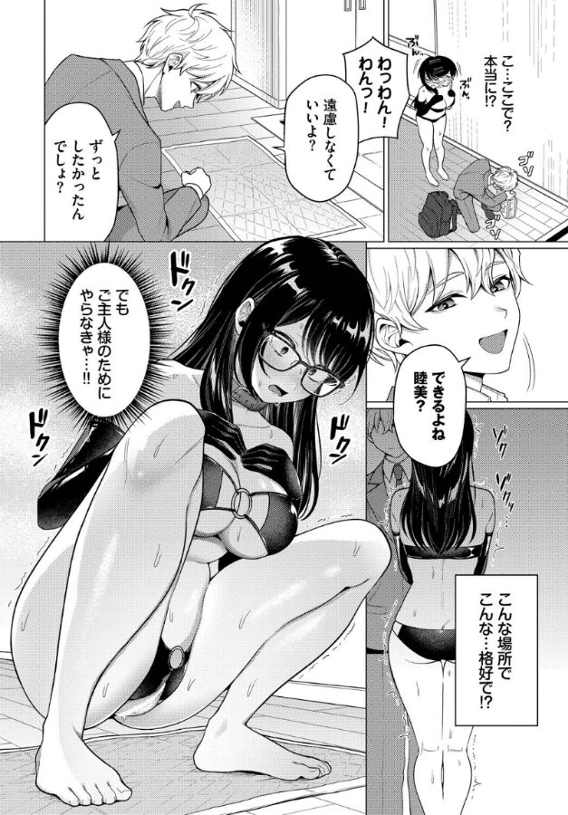 カワイイおねがい|ハマチ|b472abnen03329 カワイイおねがい|ハマチ|b472abnen03329