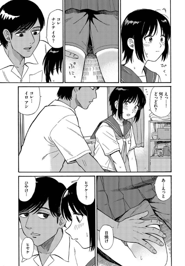 夕方のニャム|鉢本|b472abnen03301 夕方のニャム|鉢本|b472abnen03301