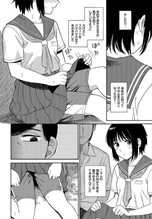 夕方のニャム|鉢本|b472abnen03301 夕方のニャム|鉢本|b472abnen03301
