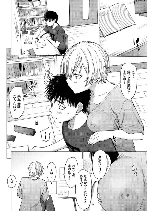 スワローテイル|あおやまきいろ。|b472abnen03335 スワローテイル|あおやまきいろ。|b472abnen03335