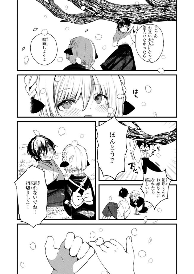 庖廚エイデルワイス|1号|b915awnmg03469 庖廚エイデルワイス|1号|b915awnmg03469