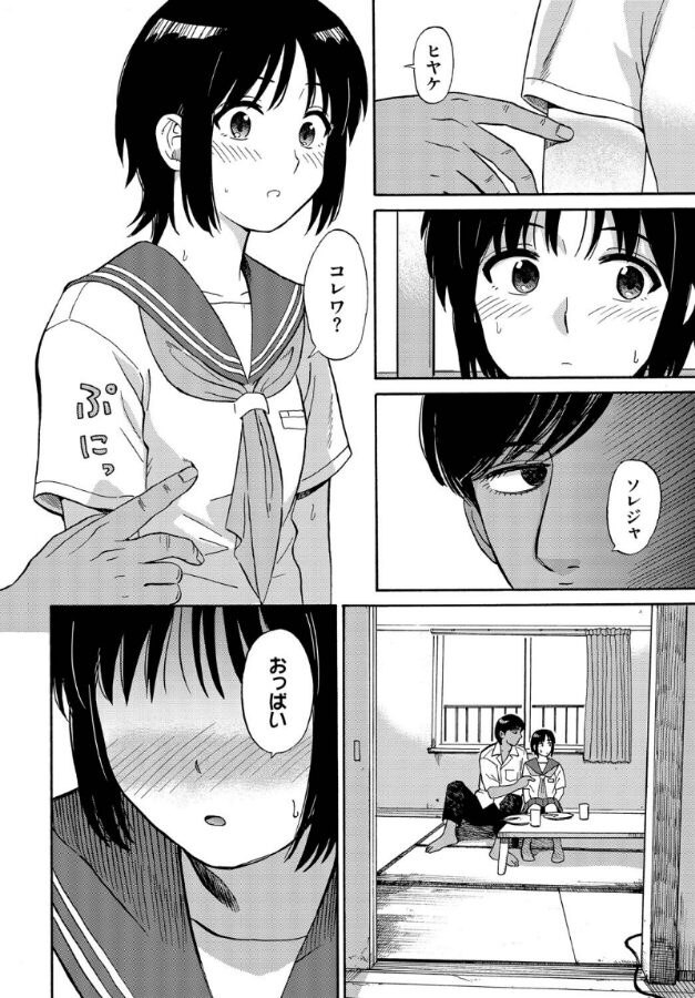 夕方のニャム|鉢本|b472abnen03301 夕方のニャム|鉢本|b472abnen03301