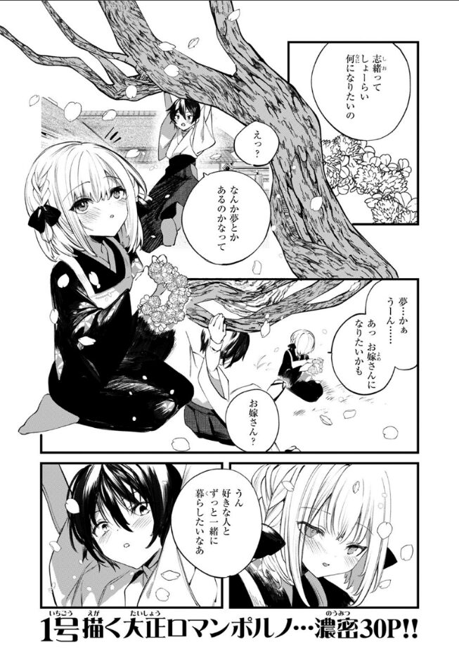 庖廚エイデルワイス|1号|b915awnmg03469 庖廚エイデルワイス|1号|b915awnmg03469