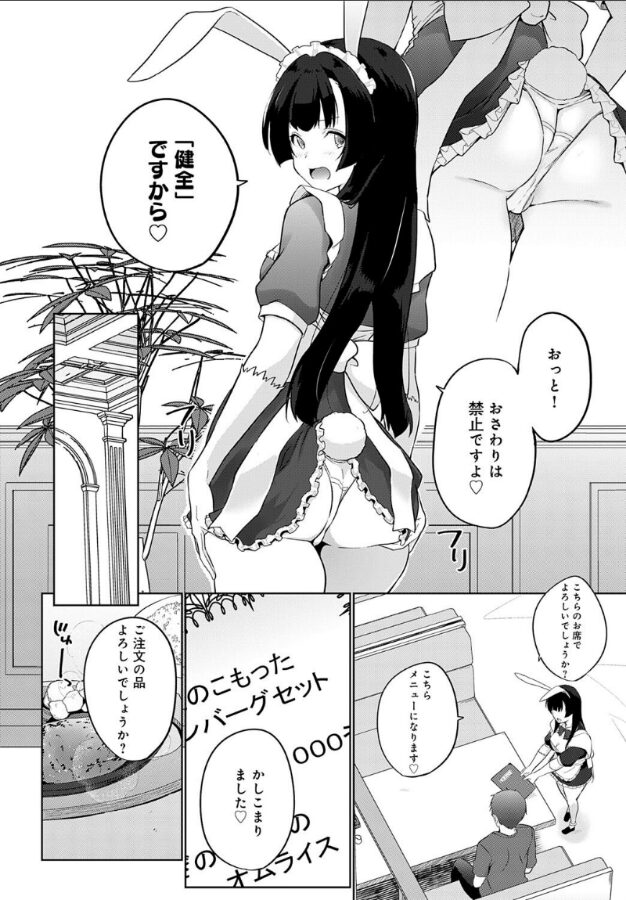 こーびしようよ 兎っこ 新装開店編|かいづか|k568agotp09916 こーびしようよ 兎っこ 新装開店編|かいづか|k568agotp09916