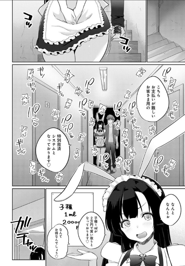こーびしようよ 兎っこ 新装開店編|かいづか|k568agotp09916 こーびしようよ 兎っこ 新装開店編|かいづか|k568agotp09916