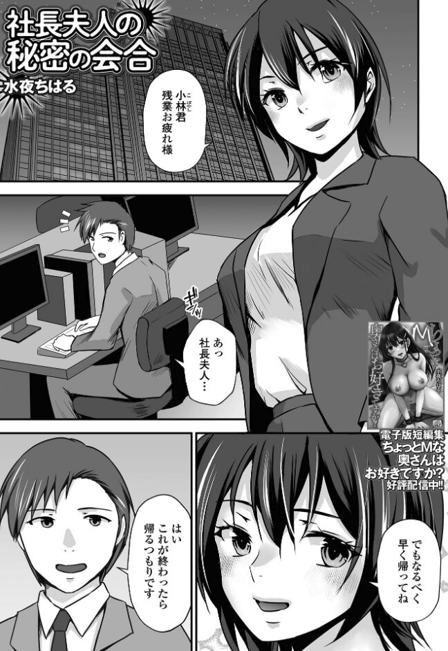 社長夫人の秘密の会合|水夜ちはる|b164aisis05368 社長夫人の秘密の会合|水夜ちはる|b164aisis05368