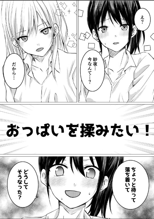 女の子だって、おっぱいを揉みたい!|とうきび|k804annbn14862 女の子だって、おっぱいを揉みたい!|とうきび|k804annbn14862
