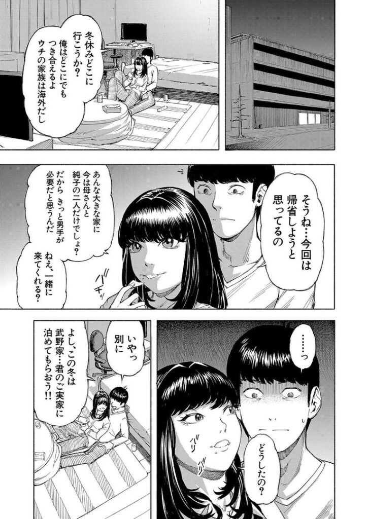 武野家の謎 (ディングル)|ディングル|b104atint02308 武野家の謎 (ディングル)|ディングル|b104atint02308