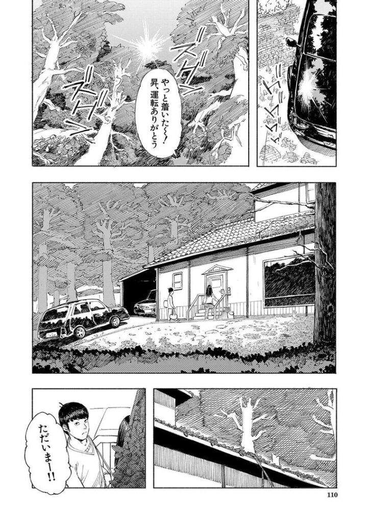 武野家の謎 (ディングル)|ディングル|b104atint02308 武野家の謎 (ディングル)|ディングル|b104atint02308