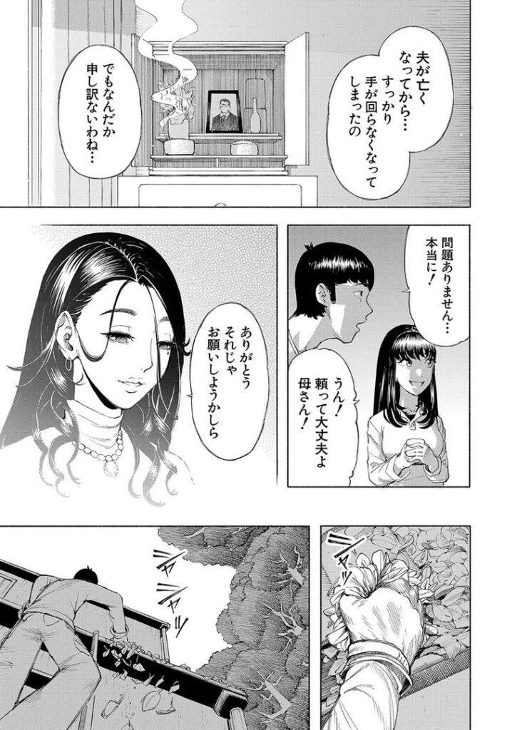 武野家の謎 (ディングル)|ディングル|b104atint02308 武野家の謎 (ディングル)|ディングル|b104atint02308