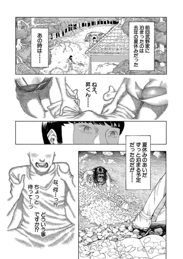 武野家の謎 (ディングル)|ディングル|b104atint02308 武野家の謎 (ディングル)|ディングル|b104atint02308