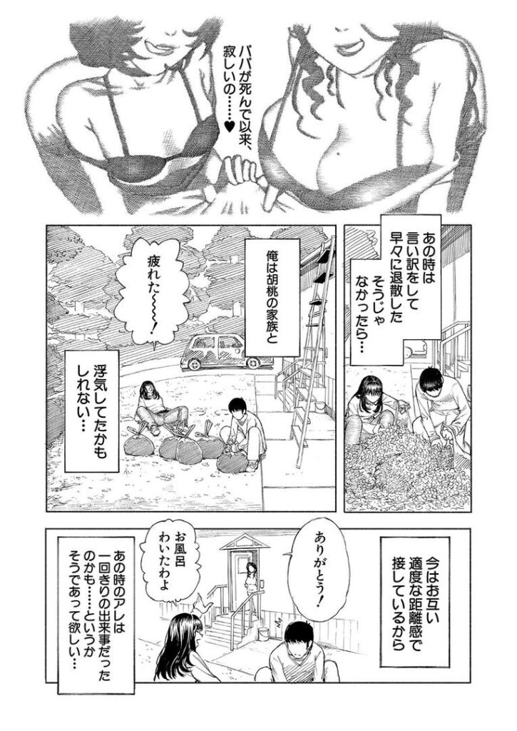 武野家の謎 (ディングル)|ディングル|b104atint02308 武野家の謎 (ディングル)|ディングル|b104atint02308