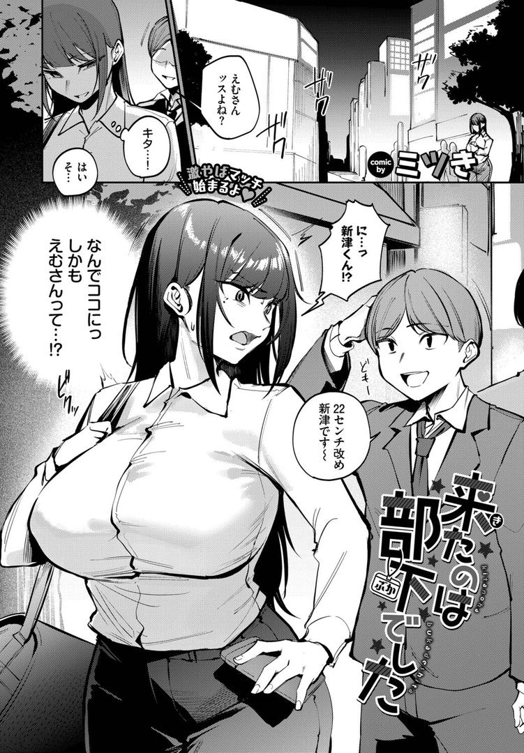 来たのは部下でした|ミツき|b472abnen03380 来たのは部下でした|ミツき|b472abnen03380