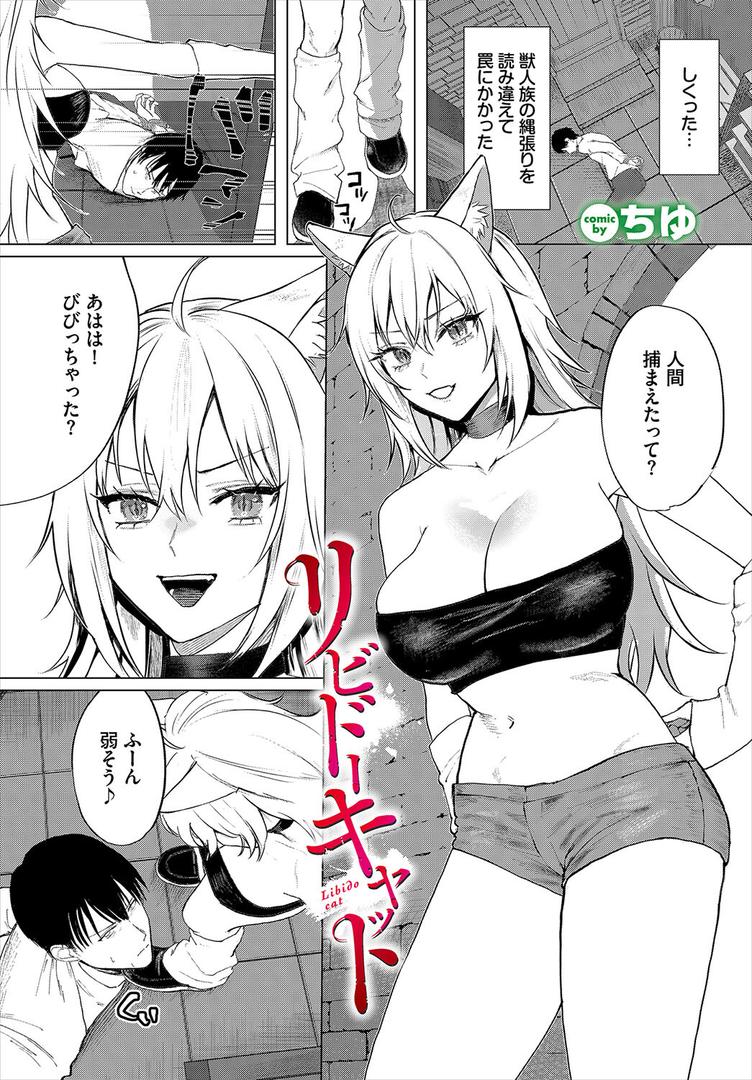 リビドーキャット|ちゆ|b472abnen03404 リビドーキャット|ちゆ|b472abnen03404