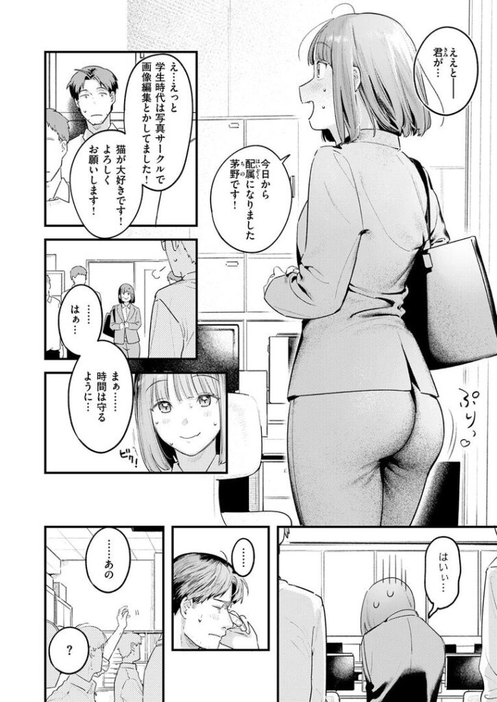 桃どろぼう|楝蛙|b915awnmg03529 桃どろぼう|楝蛙|b915awnmg03529