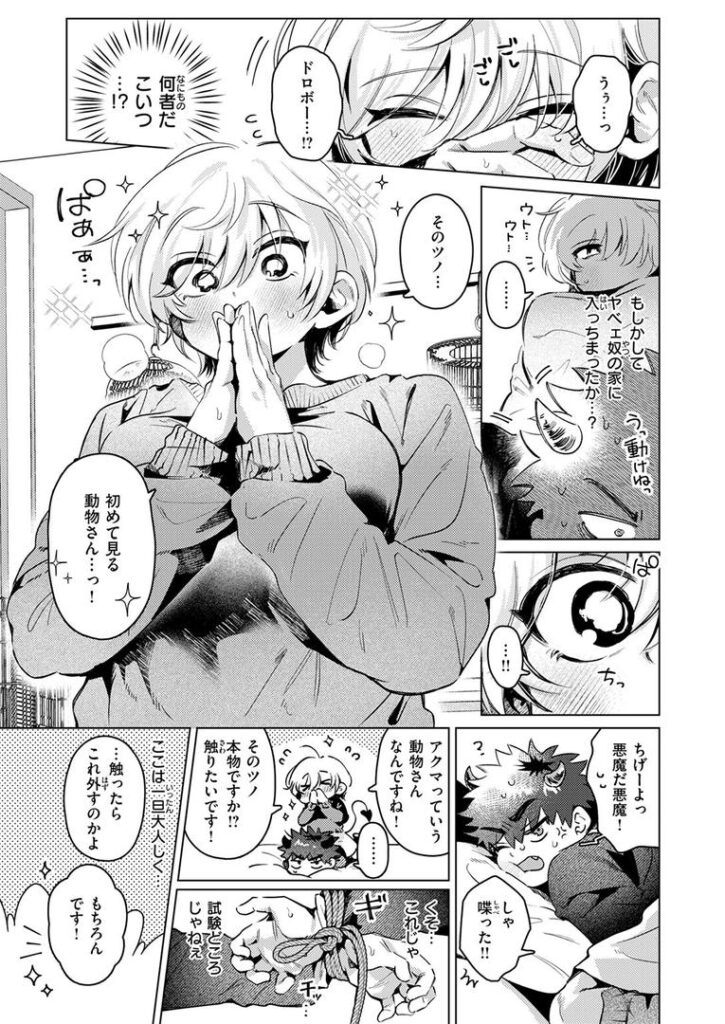 あくまのあくむ|よるげ|b915awnmg03532 あくまのあくむ|よるげ|b915awnmg03532