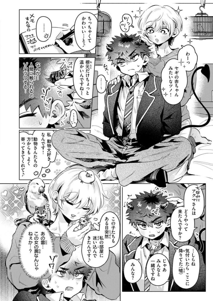 あくまのあくむ|よるげ|b915awnmg03532 あくまのあくむ|よるげ|b915awnmg03532