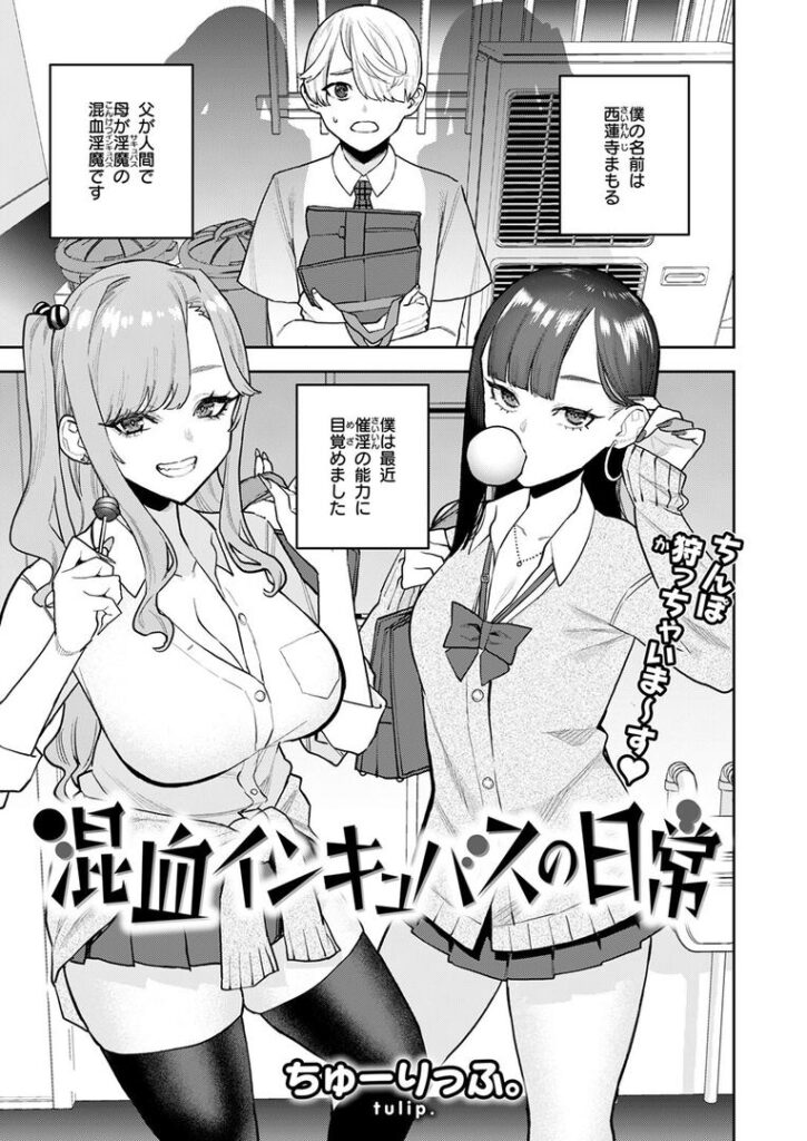 混血インキュバスの日常|ちゅーりっふ。|b915awnmg03537 混血インキュバスの日常|ちゅーりっふ。|b915awnmg03537