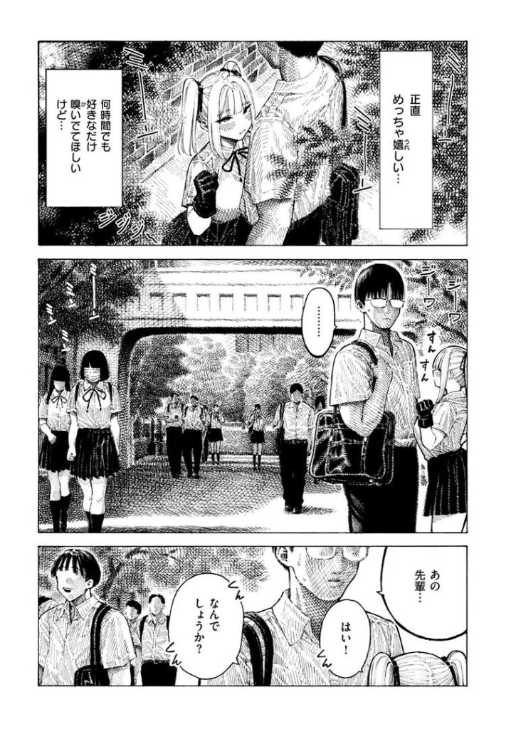 柊先輩くんくんくんくん|昼寝|b915awnmg03544 柊先輩くんくんくんくん|昼寝|b915awnmg03544