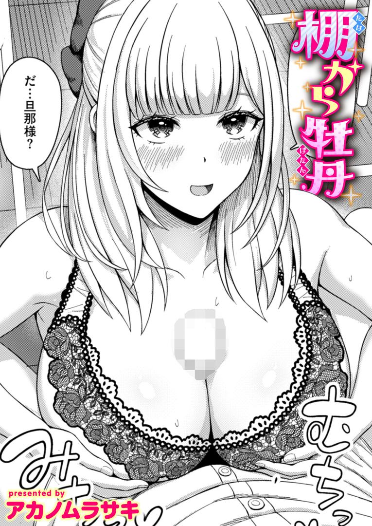 棚から牡丹|アカノムラサキ|b915awnmg03563 棚から牡丹|アカノムラサキ|b915awnmg03563