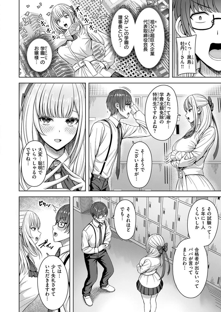 棚から牡丹|アカノムラサキ|b915awnmg03563 棚から牡丹|アカノムラサキ|b915awnmg03563