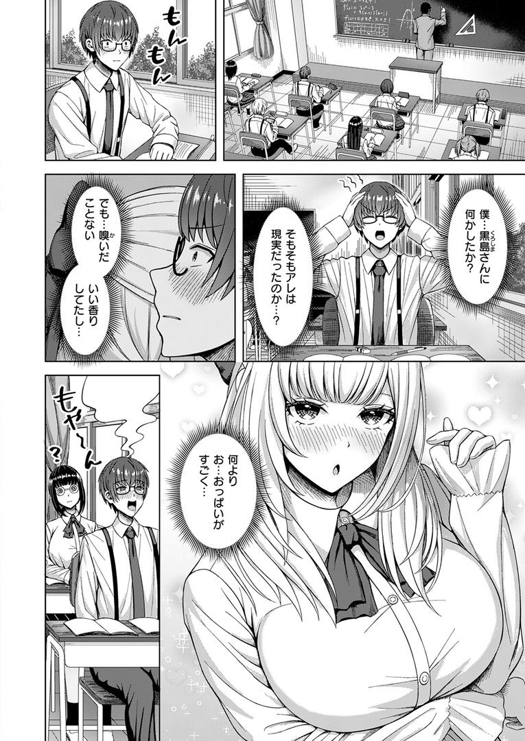 棚から牡丹|アカノムラサキ|b915awnmg03563 棚から牡丹|アカノムラサキ|b915awnmg03563
