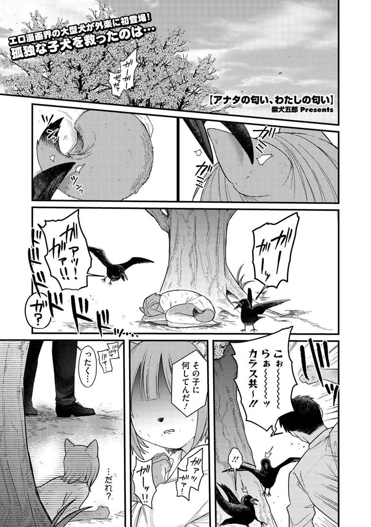 アナタの匂い、わたしの匂い|柴犬五郎|s011akamj02539 アナタの匂い、わたしの匂い|柴犬五郎|s011akamj02539