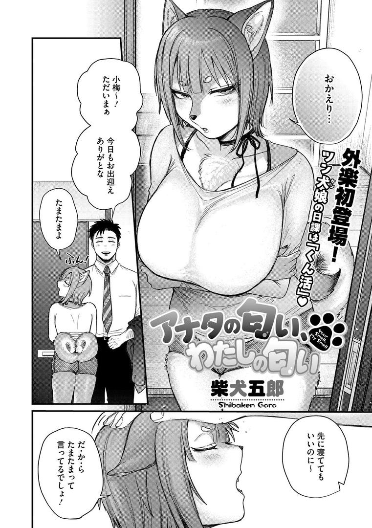 アナタの匂い、わたしの匂い|柴犬五郎|s011akamj02539 アナタの匂い、わたしの匂い|柴犬五郎|s011akamj02539