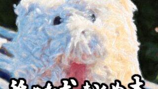 d_335503｜ケガレボシノカケラタチ｜Vパン’sエクスタシー｜エロ同人