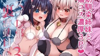 d_587869｜清楚な彼女の乱れた姿が見てみたい｜ヒロ広野｜エロ同人