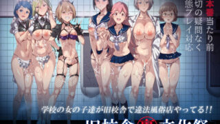 d_239026｜聖女の逆ナン｜ドラチェフ｜エロ同人