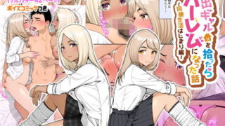 d_574349｜お高く止まったそのおっぱい 学園中に晒してやるよ｜P＆I｜エロ同人