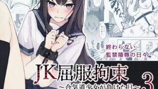d_530878｜聖騎士団長様は婬術の治療のために娼館へ行きました｜かに村えびお｜エロ同人
