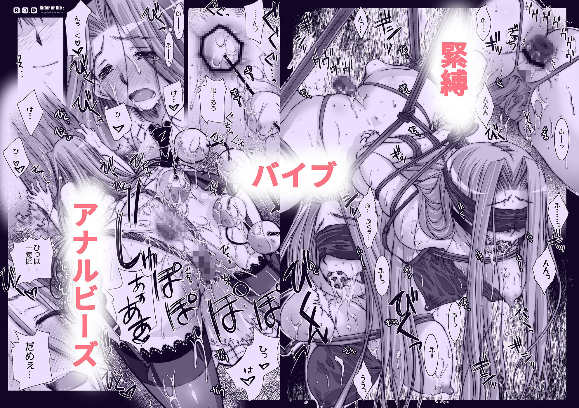 d_500538｜R.O.D -Rider or Die- 総集編1｜綾野なおと｜エロ同人
