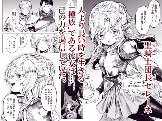 d_530878｜聖騎士団長様は婬術の治療のために娼館へ行きました｜かに村えびお｜エロ同人