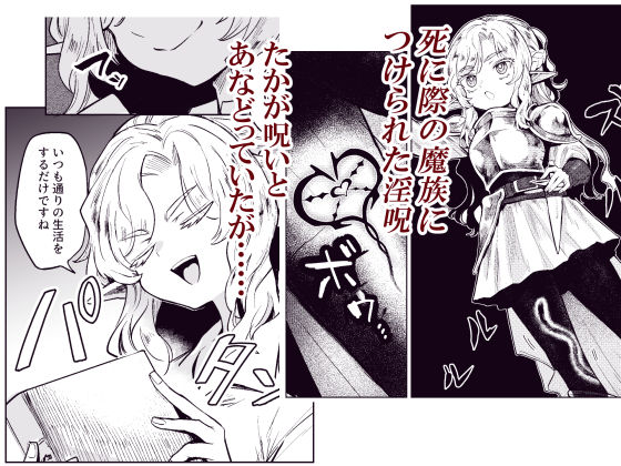 d_530878｜聖騎士団長様は婬術の治療のために娼館へ行きました｜かに村えびお｜エロ同人