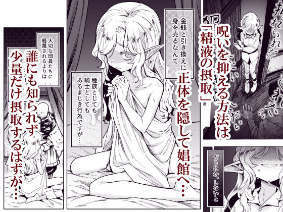 d_530878｜聖騎士団長様は婬術の治療のために娼館へ行きました｜かに村えびお｜エロ同人