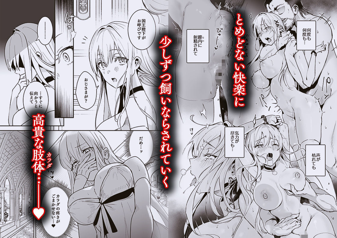 d_533195｜王女陥落2｜吉田Killy｜エロ同人