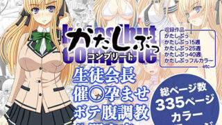d_140841｜黄昏の娼エルフ4-娼婦にされた未熟なハイエルフ2｜H.B.A｜エロ同人